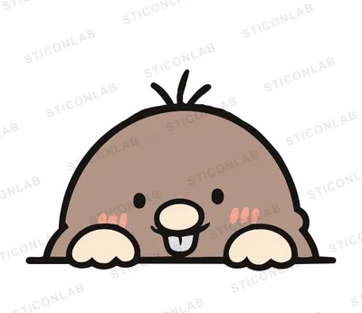 통통 두더지 두비기