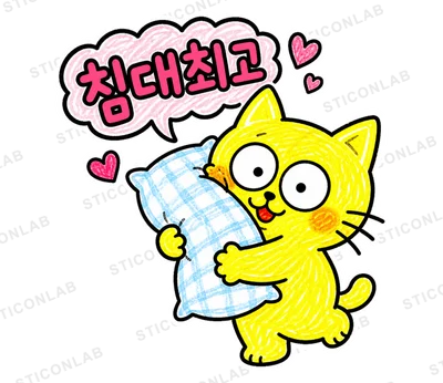 노란 고양이 야루의 집콕라이프